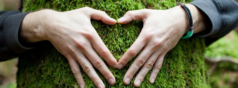 Meio ambiente: nossa relação é mais que natural.