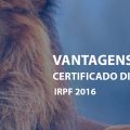 IRPF 2016 – 5 motivos para você indicar o e-CPF para seu cliente