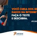 Segurança de dados na internet