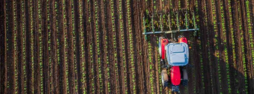 Certificado digital auxilia produtor rural em emissão de nota fiscal eletrônica