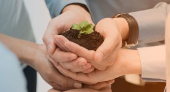 Como o Certificado Digital te ajuda a associar seu negócio aos valores ambientais
