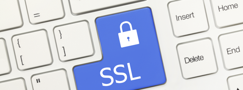 Influência do SSL nas metas de profissionais de marketing, vendas e empreendedores