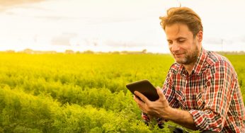 Como emitir a Autorização Provisória de Funcionamento para produtor rural