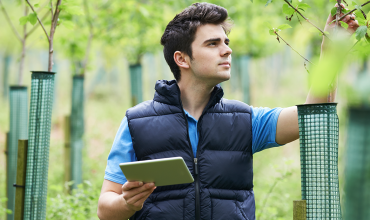 Novas regras: Licenciamento Ambiental deve ser solicitado com o Certificado Digital